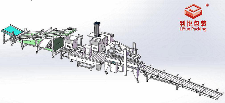 利悅黃花菜自動裝箱機